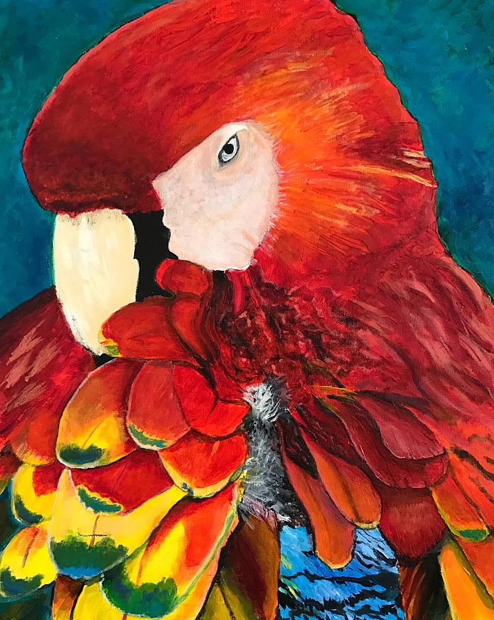 Scarlet Macaw Painting by Susan Kayler