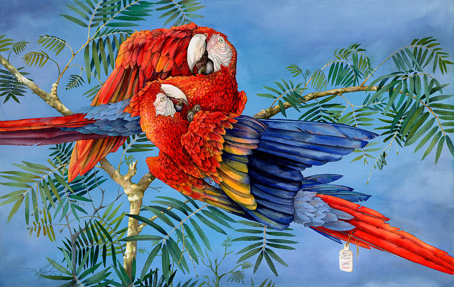 Macaw Painting - Scarlet Macaws Existence at a Price by Mary Helsaple