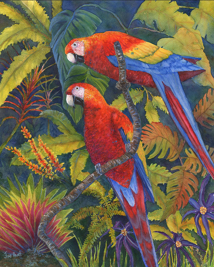 Scarlet Macaws Painting by June Hunt