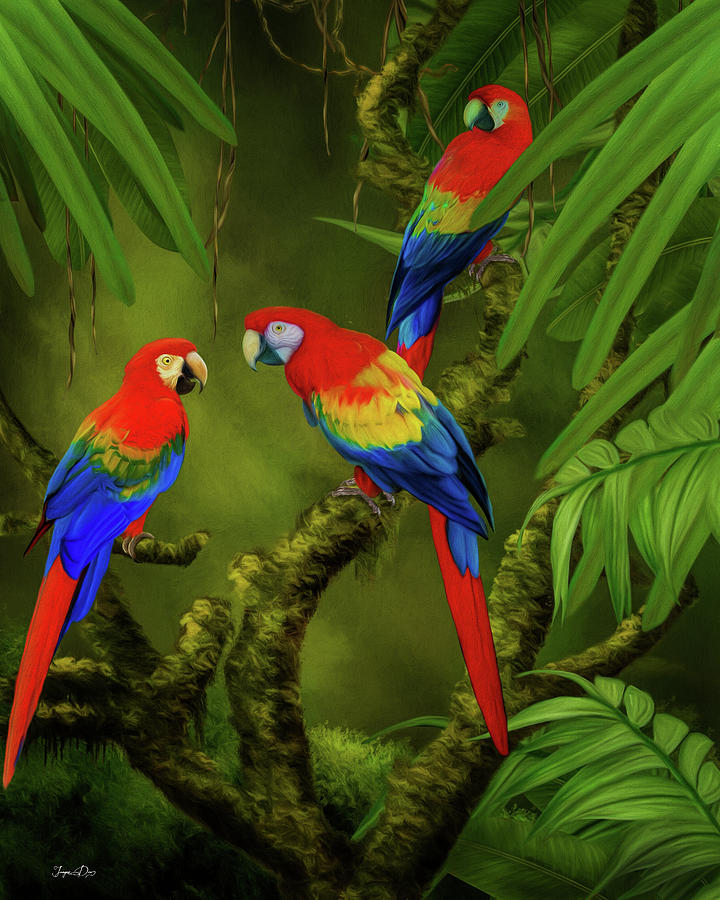 Scarlet Macaws Painting by Jurgen Doelle