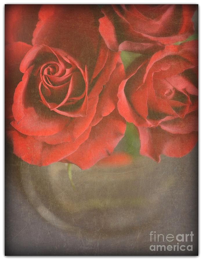 Scarlet Roses Photograph by Lyn Randle