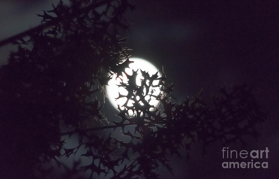 Abstract Photograph - Scary Full Moon by Ivan Santiago