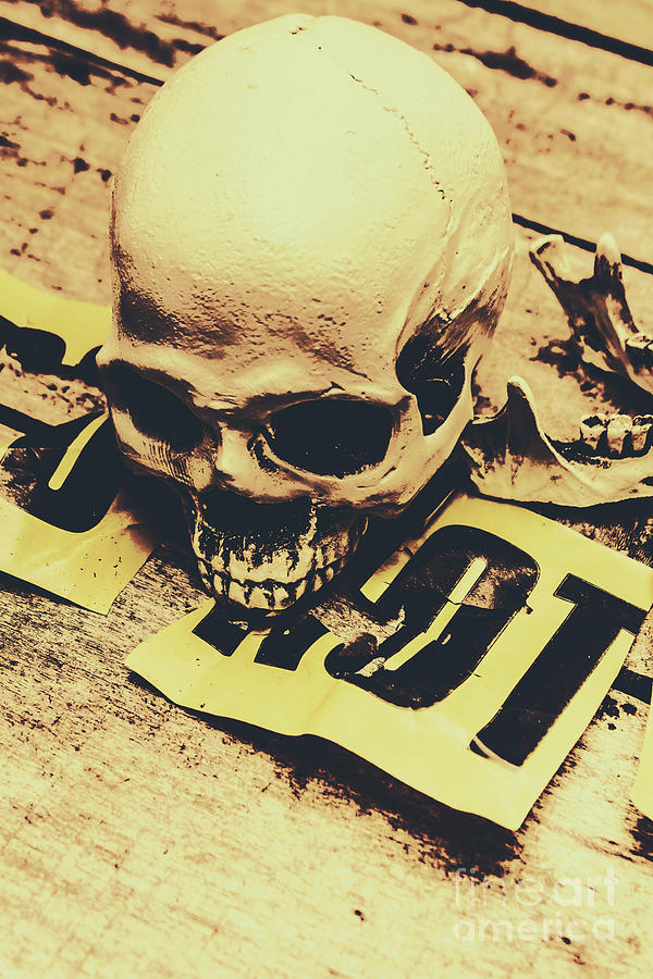 Skull Photograph - Scary human skull by Jorgo Photography