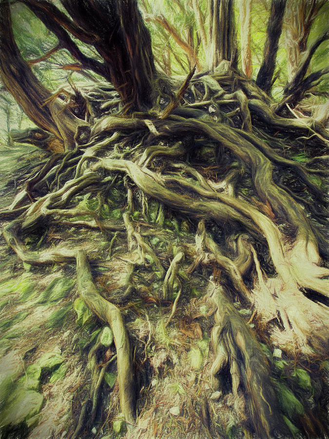 Scary Roots 3 Digital Art by Roy Pedersen - Fine Art America