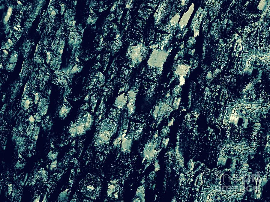 Scattered Bark - Abstract 002 Photograph by Jor Cop Images