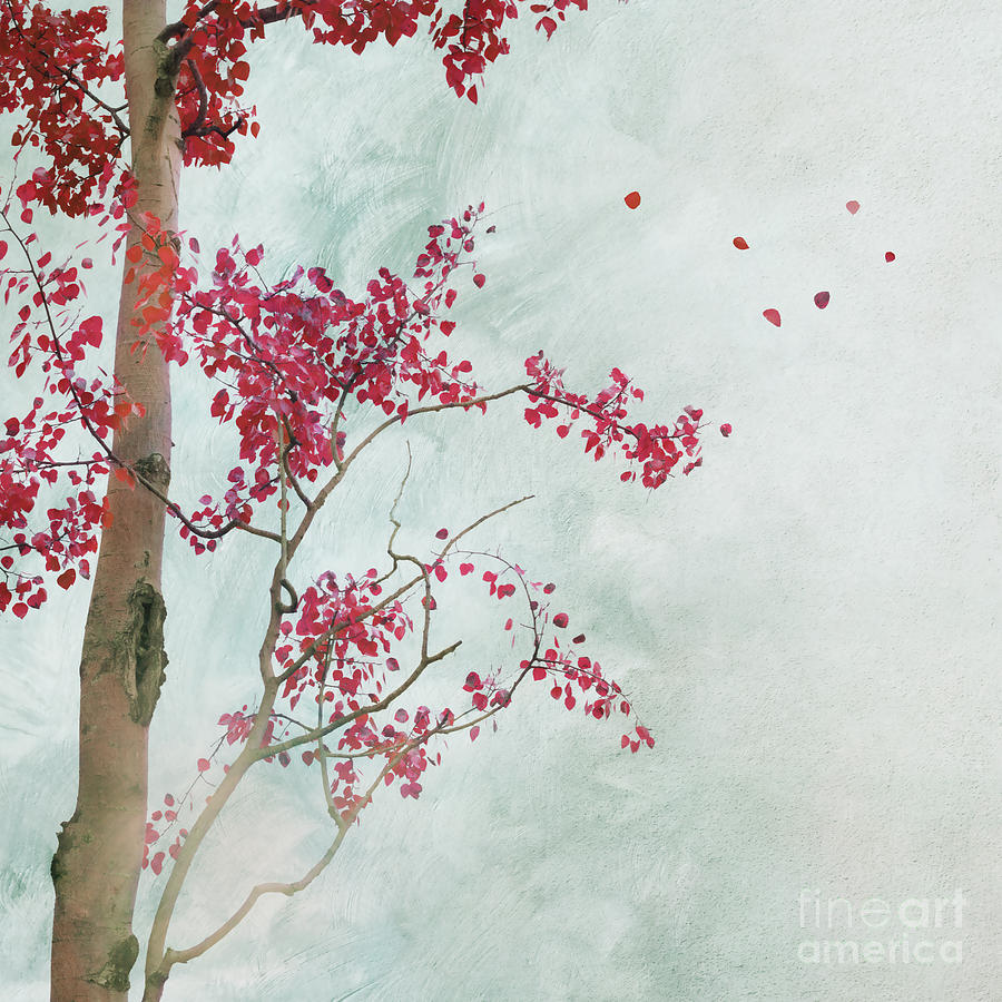 Fall Photograph - Scattered To The Four Winds by Priska Wettstein