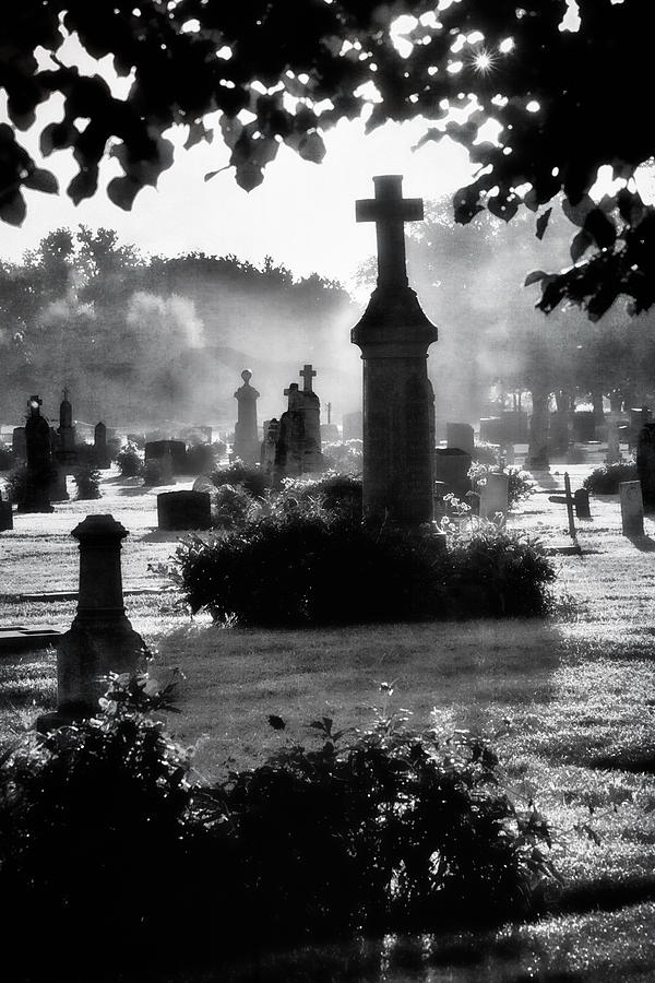 SCCC Print_Graveyard_Fog by Michael Greiner SCCC Print_Graveyard_Fog by Michael Greiner