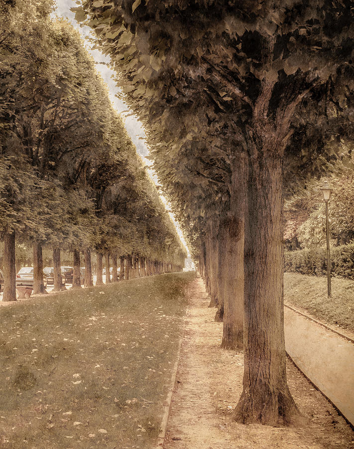 Sceaux, France - Allee Photograph by Mark Forte