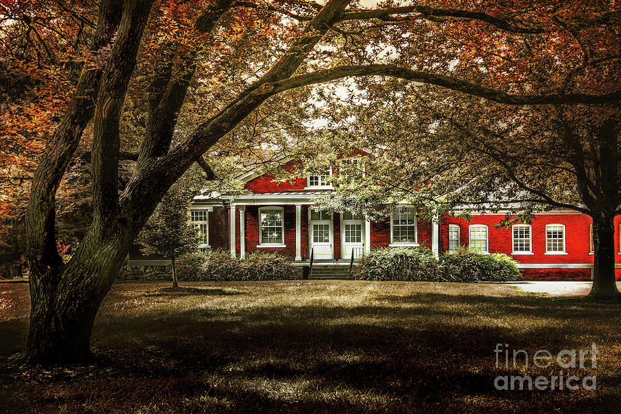 Scene Red Photograph by John Anderson