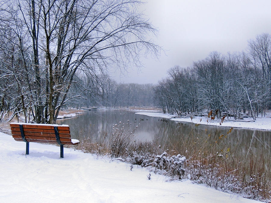 Sceneic Maumee River Photograph by Mike Guhl - Fine Art America