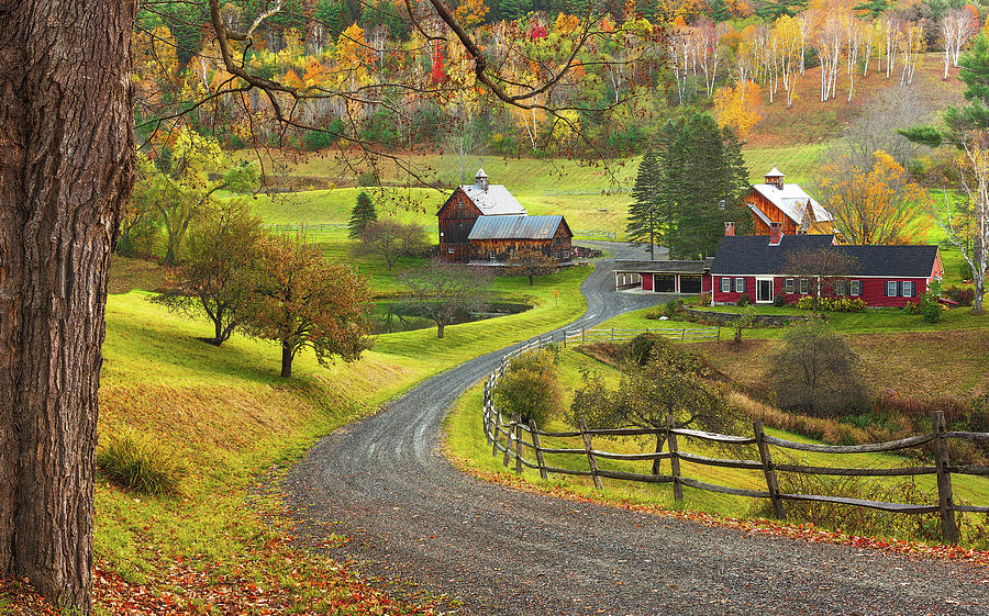 Scenes of Sleepy Hollow Farm #3 Photograph by Simmie Reagor - Fine Art ...