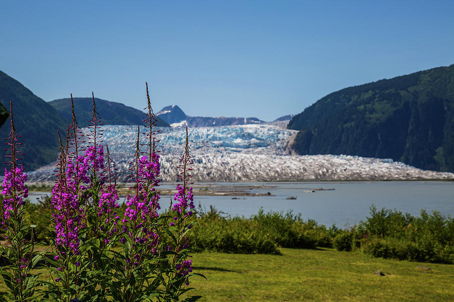 https://images.fineartamerica.com/images/artworkimages/mediumlarge/1/scenic-alaska-gemdelin-jackson.jpg