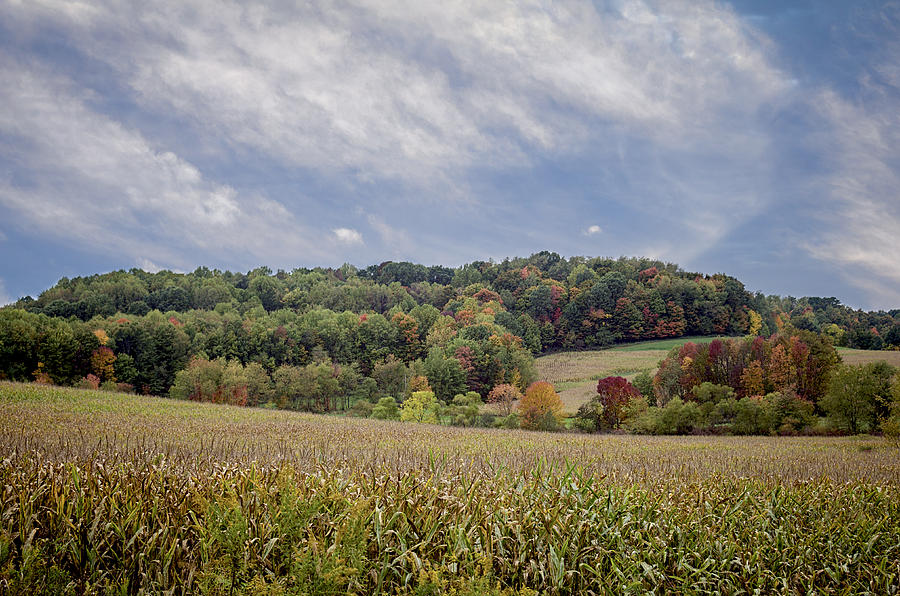 Scenic Amish Landscape 6 Photograph by SharaLee Art - Pixels