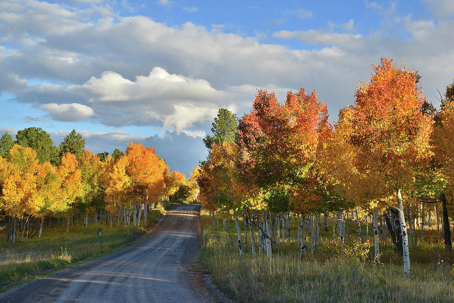 Scenic Backways of Colorado Photograph by Ray Mathis