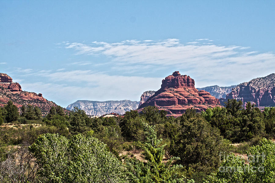 Scenic Bell Rock Photograph by Ruth Jolly
