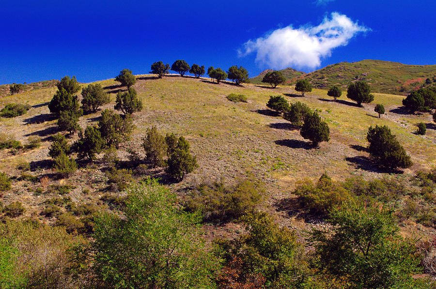 Scenic Hill of Utah Photograph by Tikvahs Hope