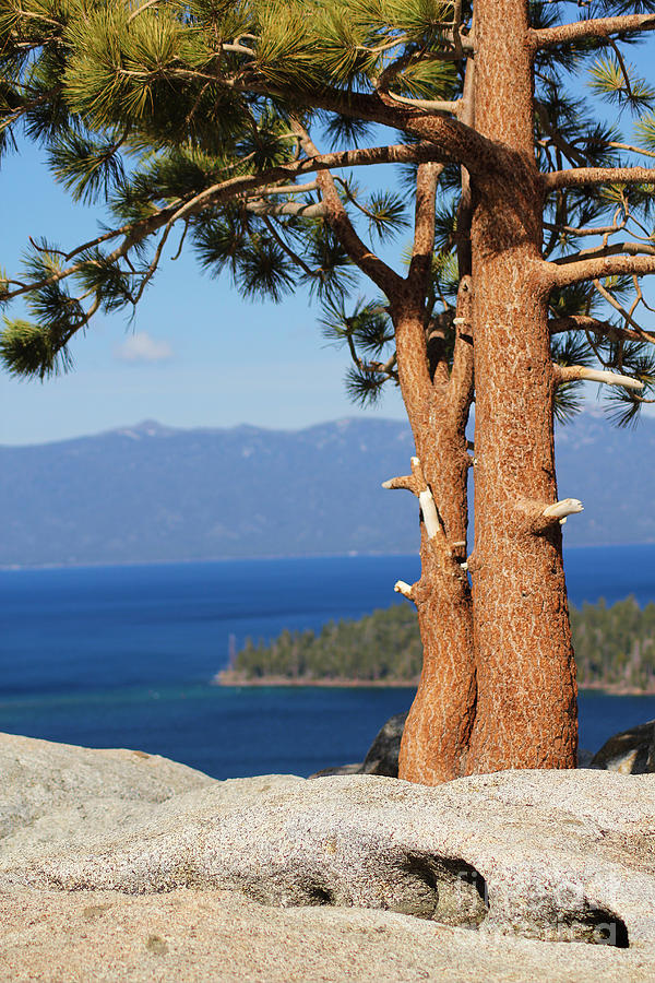 Scenic Lake Tahoe Photograph by Lori Mellen-Pagliaro