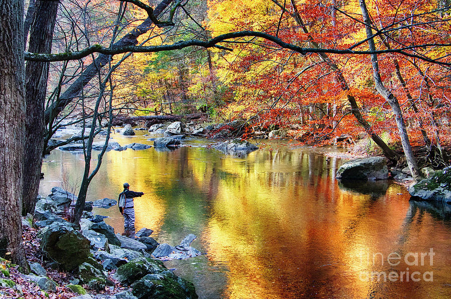 Scenic New Jersey Fall Fly Fishing Photograph by George Oze - Pixels
