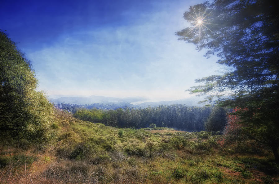 Scenic Overlook - Fog Over San Francisco Bay Photograph by Jennifer Rondinelli Reilly - Fine Art Photography