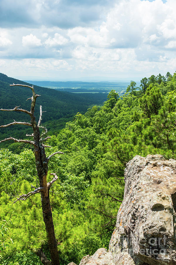 Scenic Ozark National Forest Photograph by Jennifer White - Pixels