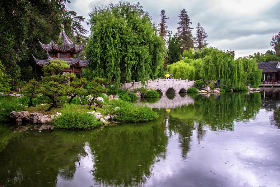 Scenic Reflections in the Chinese Garden Photograph by Lynn Bauer