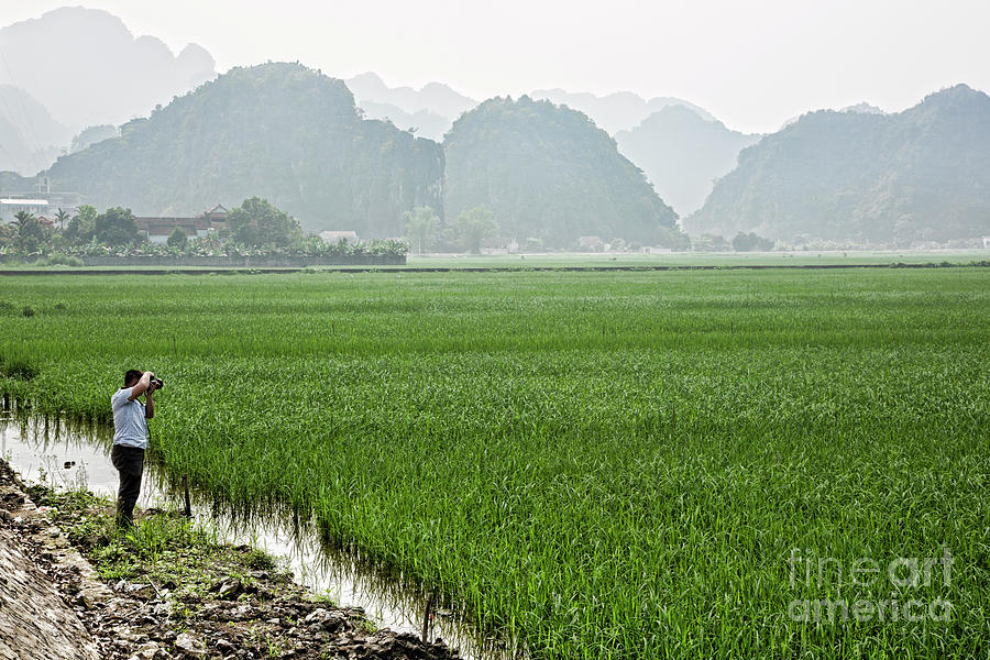 Scenic Rice Fields Photographer  Photograph by Chuck Kuhn