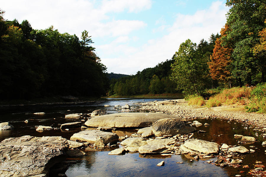 Scenic River Photograph by Darlene Bell - Fine Art America