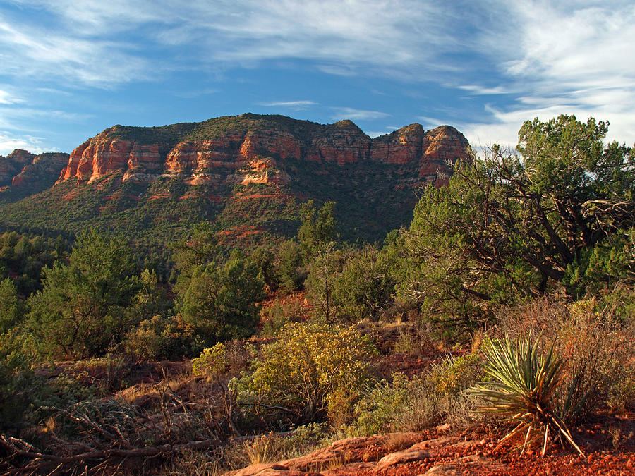 Scenic Sedona Photograph by James Peterson
