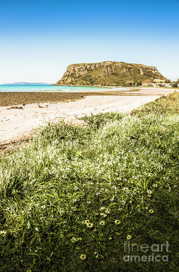 Scenic Stony Seashore Photograph By Jorgo Photography Wall Art Gallery