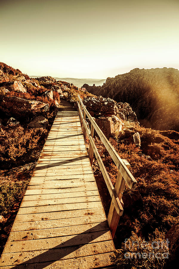 Scenic summit boardwalk Photograph by Jorgo Photography
