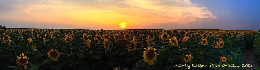 Sunset Photograph - Scenic Sunflowers by Marty Kugler