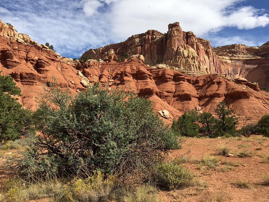 Scenic Trail Capitol Reef Photograph by Anne Sands