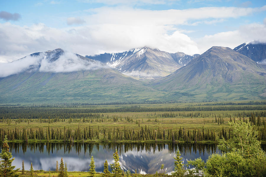 Scenic View Inside Denali National Park Photograph by Remsberg Inc