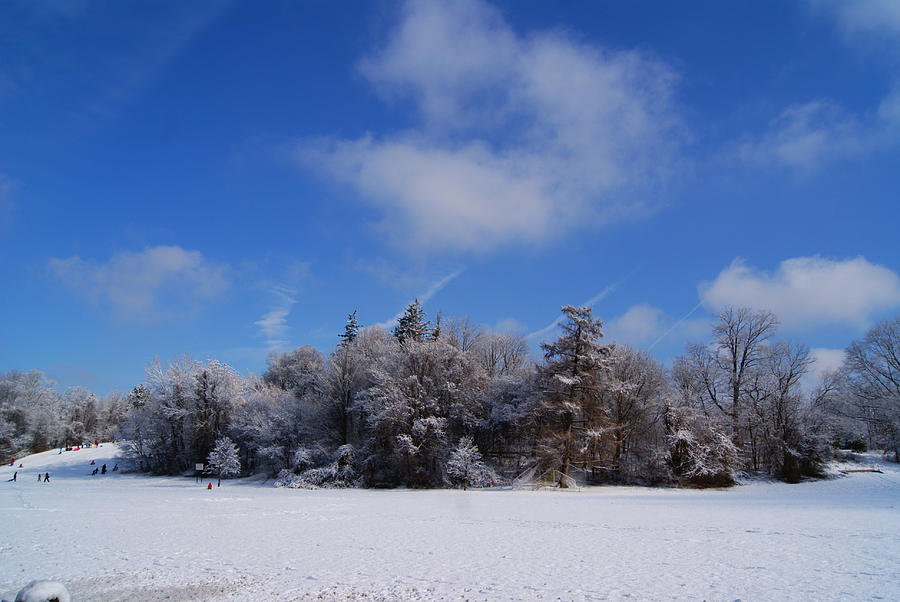 Scenic Winter Photograph by Margie Avellino