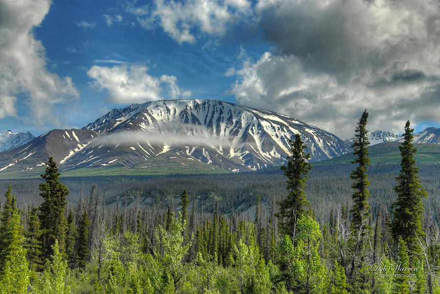 Scenic Yukon Photograph by Dyle   Warren