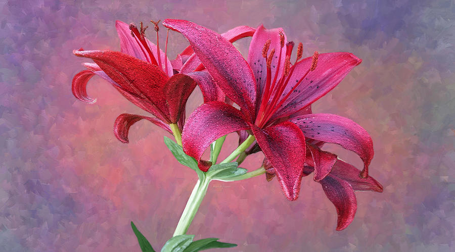 Impressionism Painting - Scented Jewel Asiatic Lily  by Angela Stanton