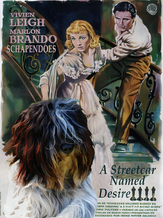 Schapendoes Art Canvas Print - A Streetcar Named Desire Movie Poster Painting by Sandra Sij