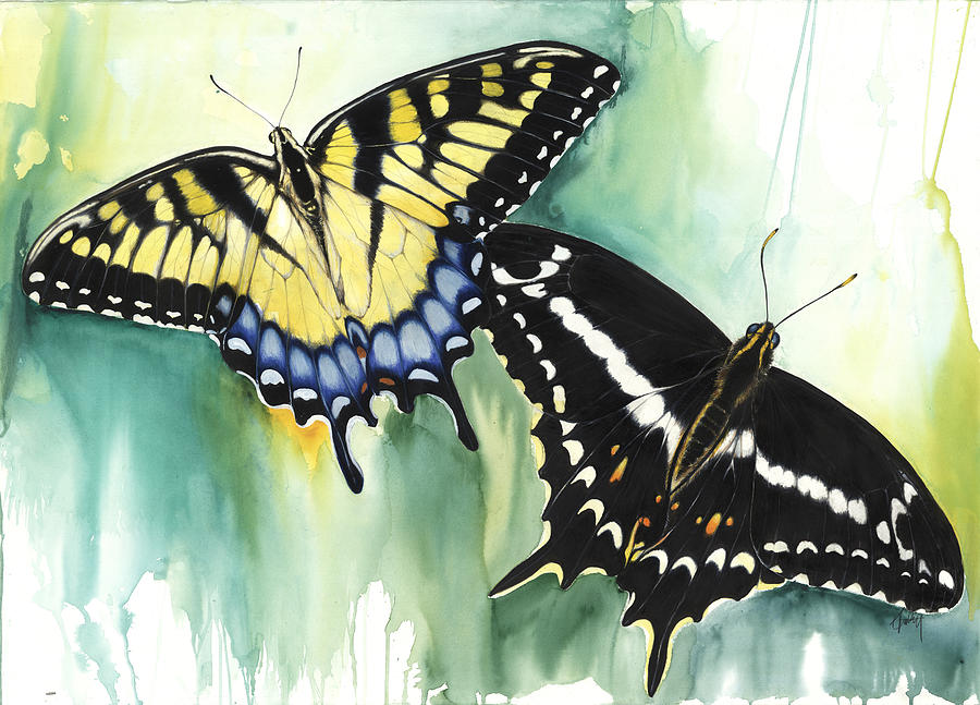Schaus Swallowtail Butterfly  Mixed Media by Anthony Burks Sr