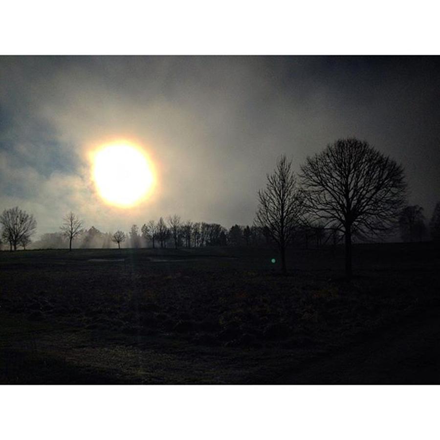 Nature Photograph - Scherrenschnitte -foggy Sun #bavaria by Svetlana Vetter