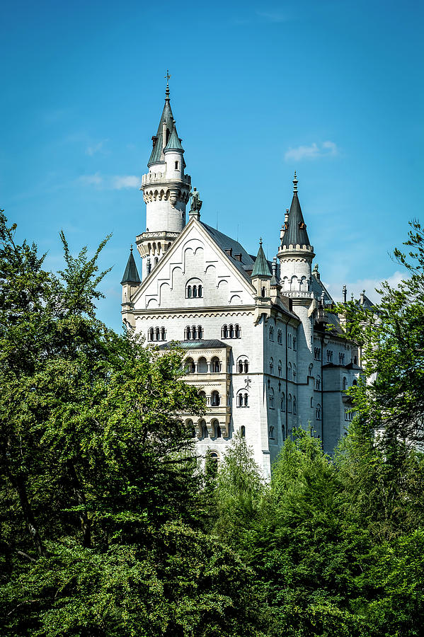 Schloss Neuschwantstein Photograph by David Morefield