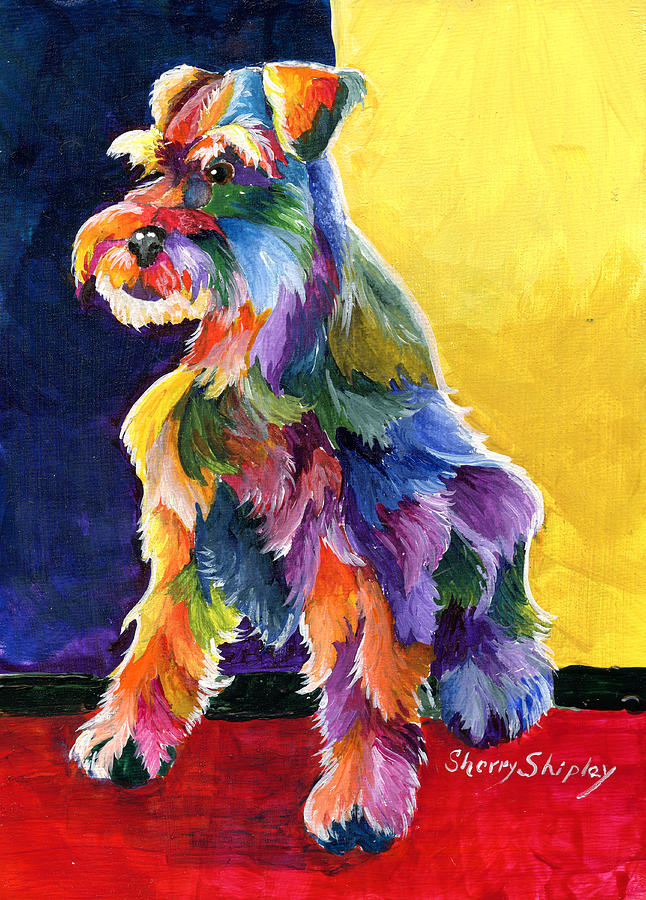 Dog Painting - Schnauzer 3 by Sherry Shipley