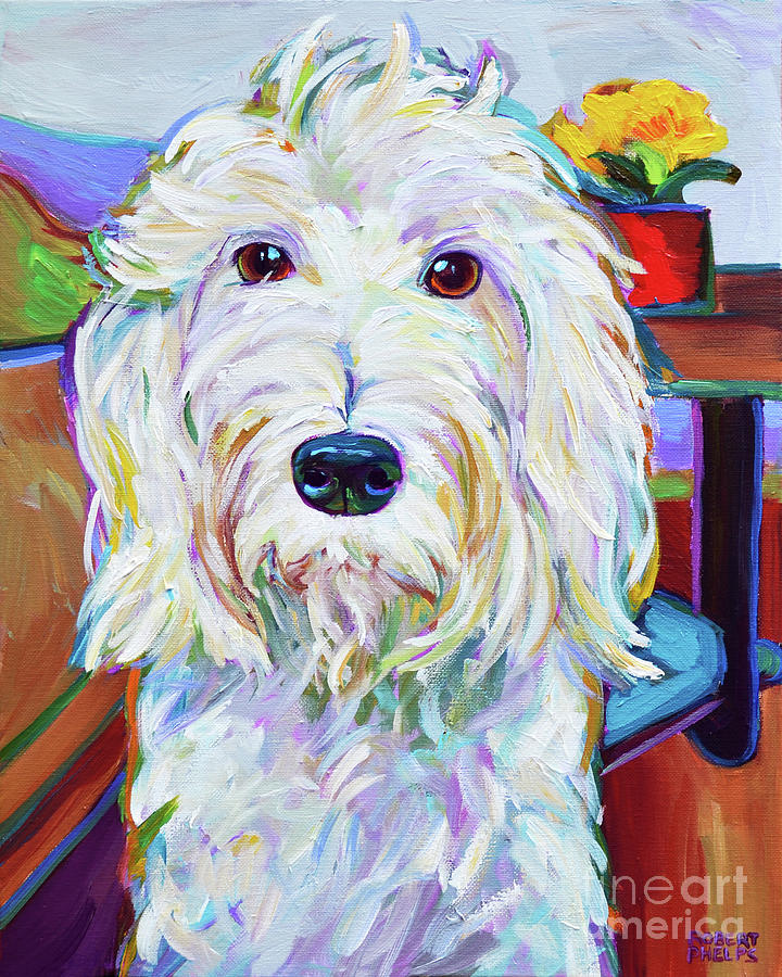 Schnoodle Painting by Robert Phelps - Fine Art America