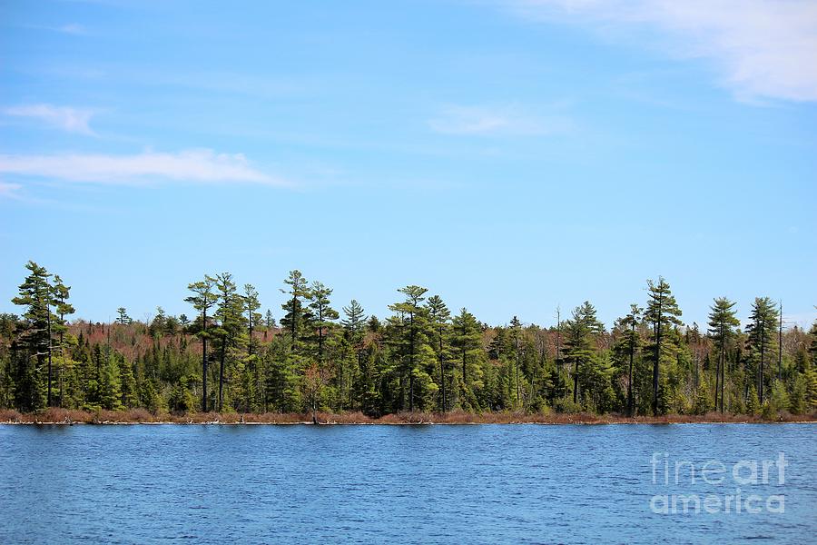 Escape to the Wild: Your Guide to Maine's Seboeis Public Reserved Land