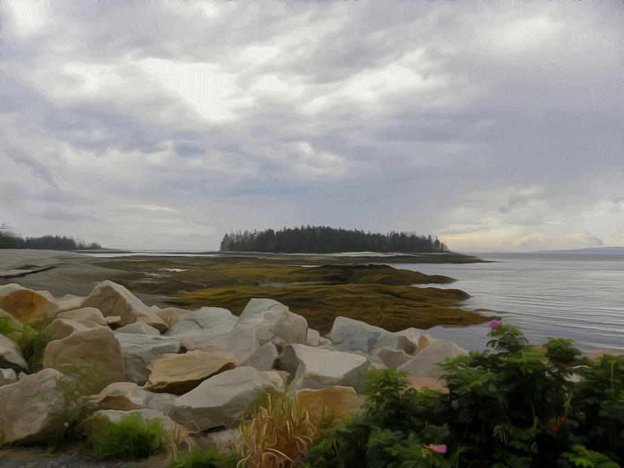 Schoodic Point Maine Photograph by Jewels Hamrick