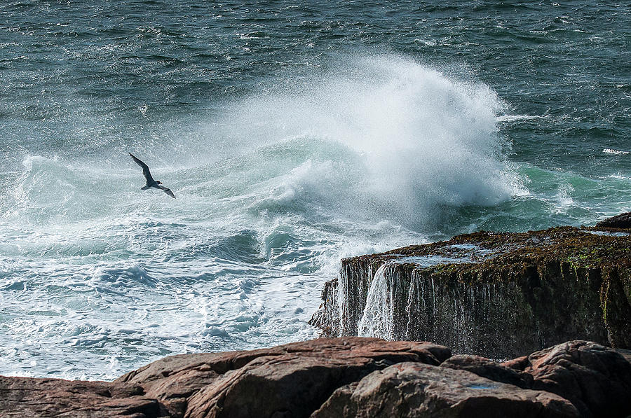 Schoodic Point Surf Photograph by Ginger Stein