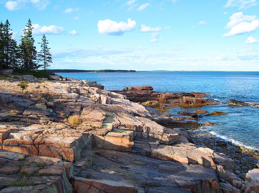 Schoodic Shoreline Photograph by Scott Bricker - Fine Art America