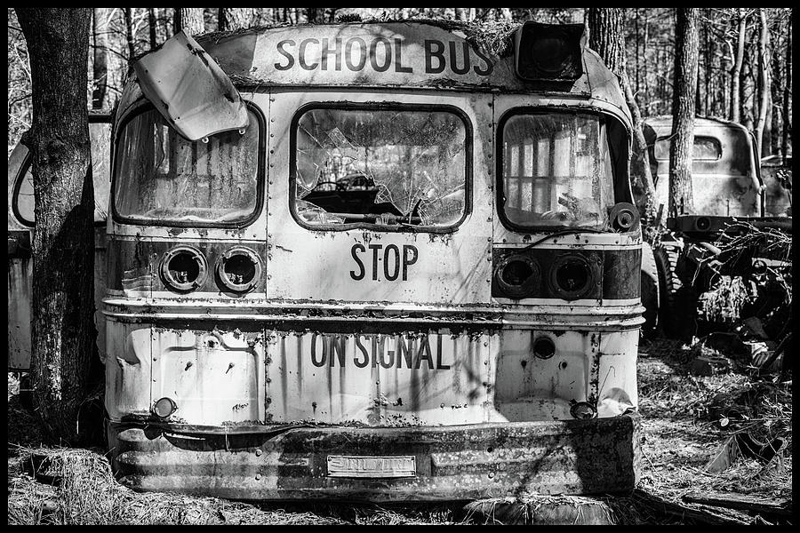 School Bus Photograph by Matthew Pace