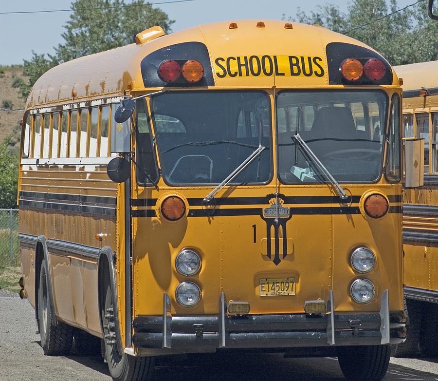 School Bus Photograph by Sara Stevenson - Fine Art America