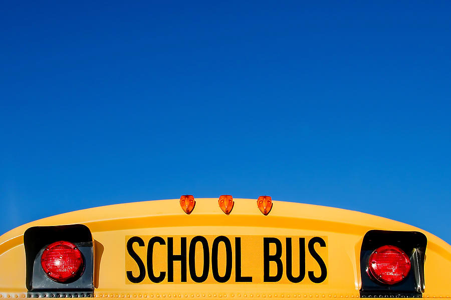 School Bus Photograph - School Bus Top by Todd Klassy