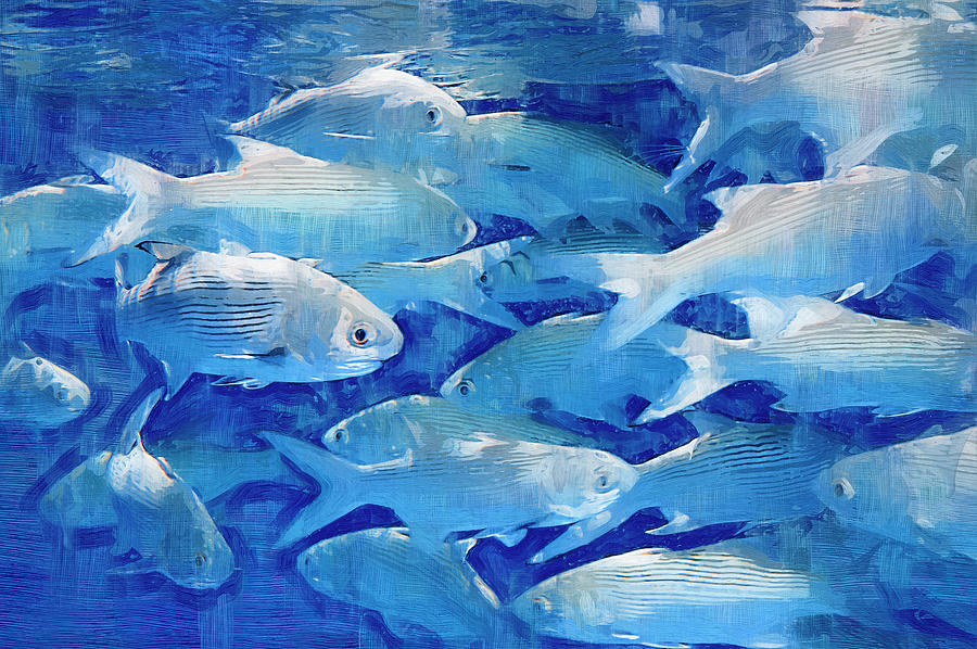 School Of Fish Painting